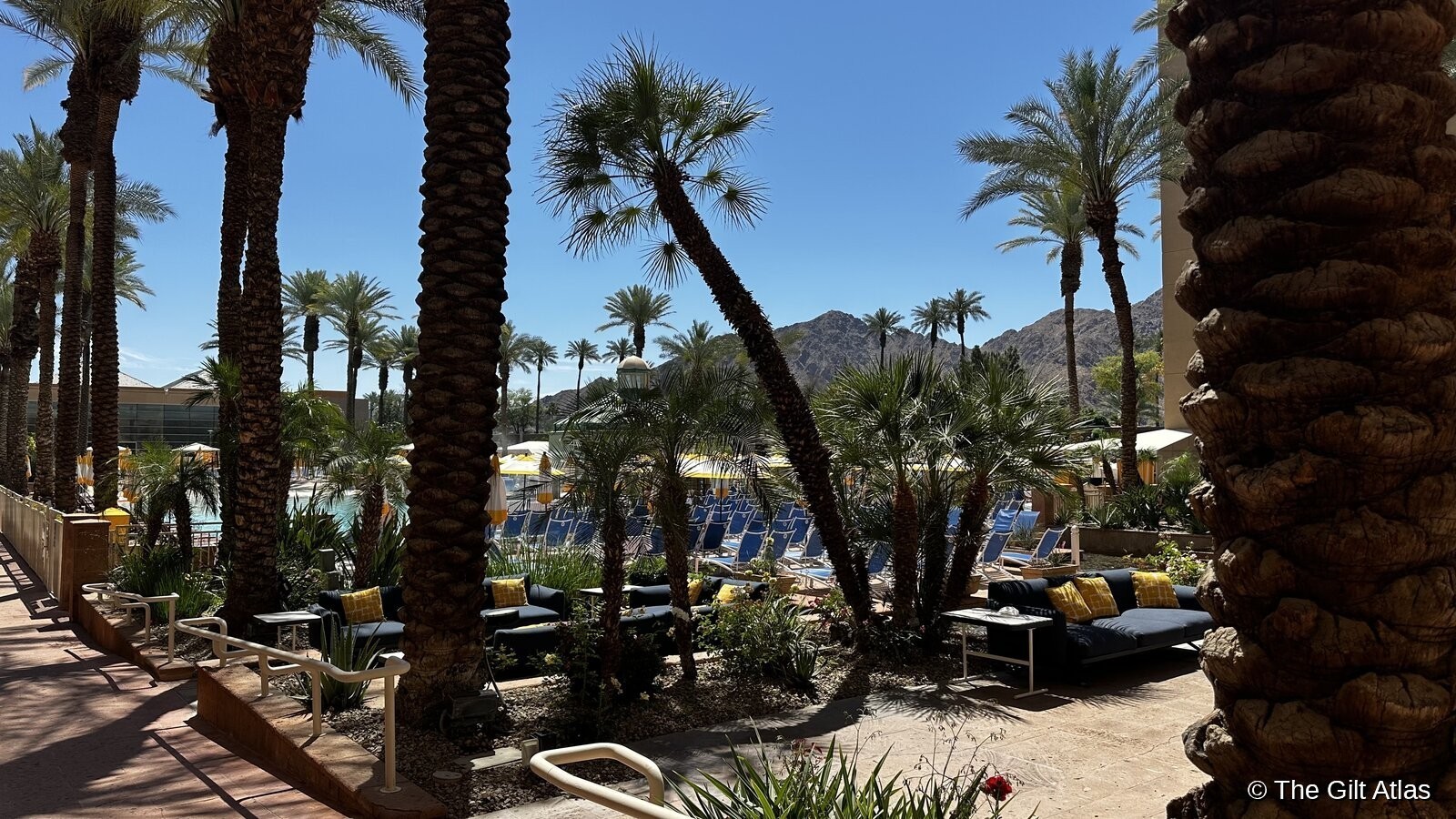 Palm tree promenade along the pool deck at Renaissance Esmeralda