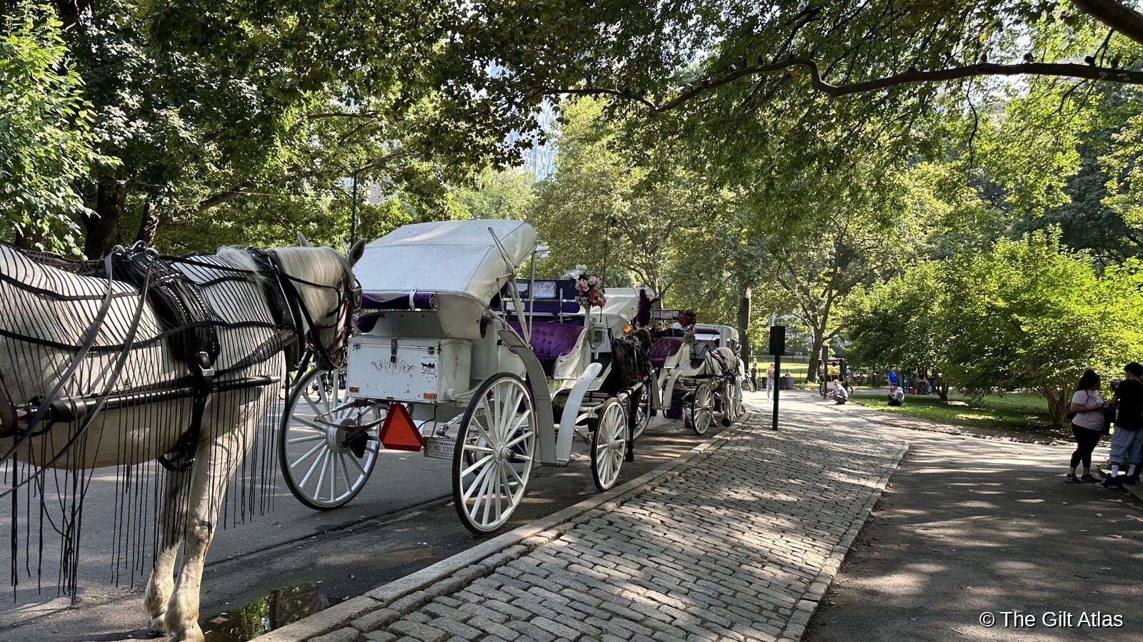 Horse-drawn carriages lined up on a cobblestone path in Central Park