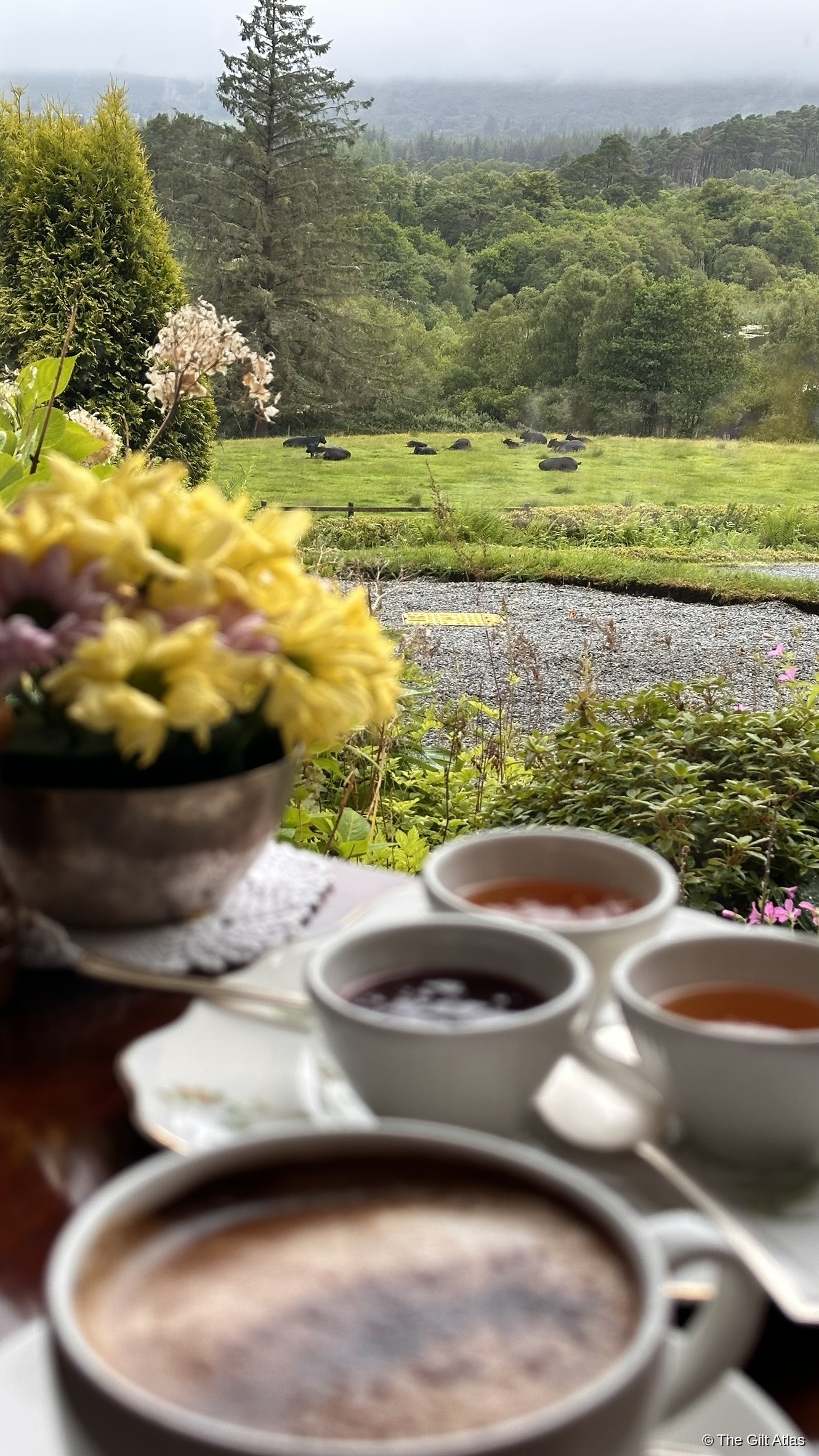 Tea and jam at a castle window, with a misty Highland landscape of green meadows and forest beyond, yellow flowers in the foreground.