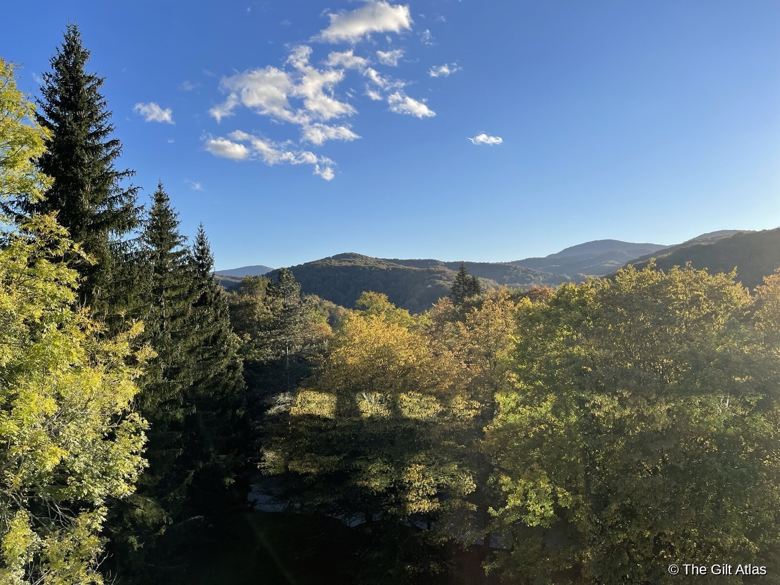 Panoramic view of forest and mountains from Hotel Jezero