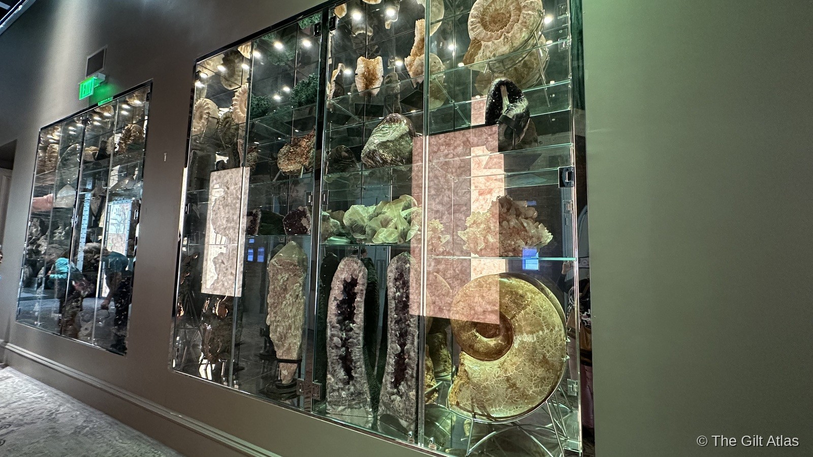Floor-to-ceiling glass display cases filled with geological specimens — amethysts, fossils, crystals, and mineral formations — lining a corridor in Plant Riverside District