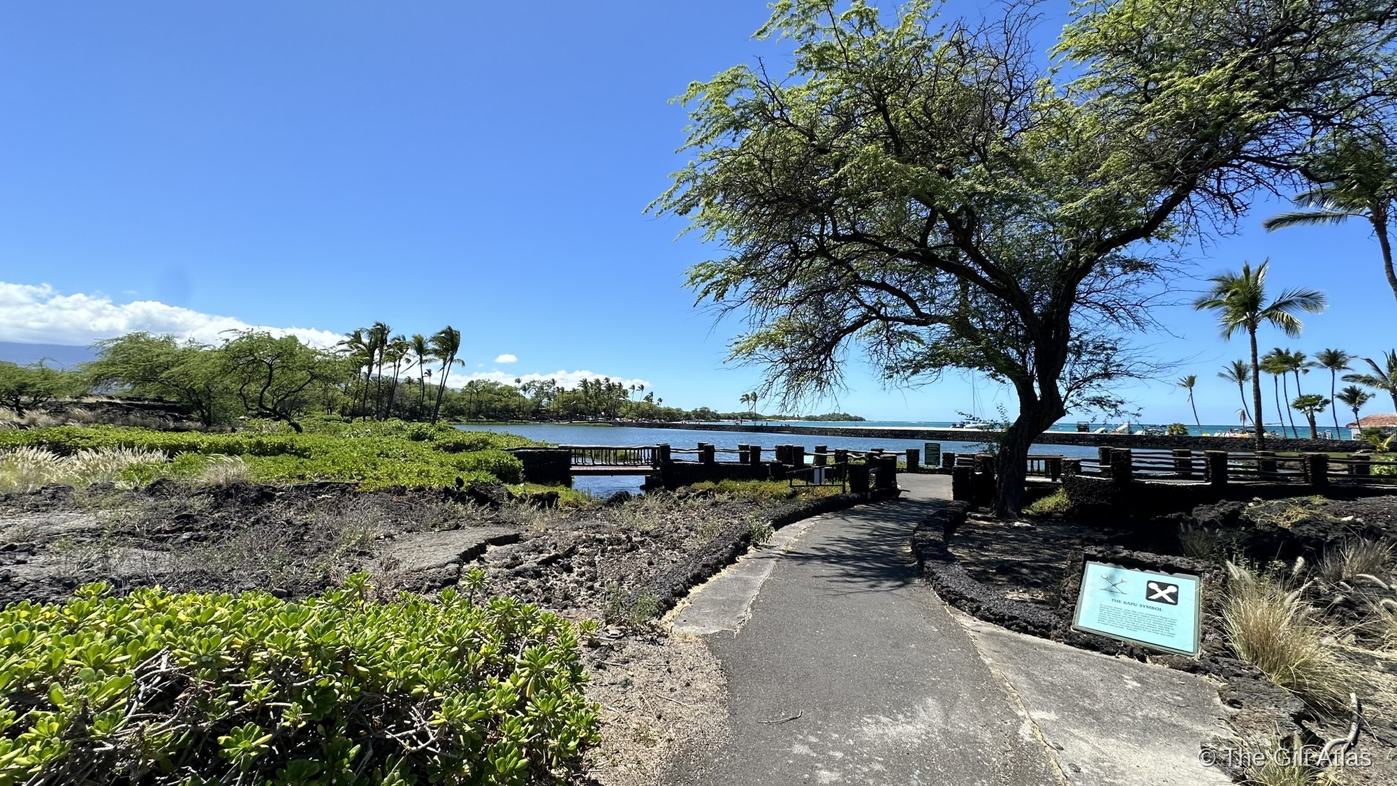 A walking path through the lava field at Waikoloa Beach Marriott, leading toward the lagoon and fishponds with palm trees in the distance