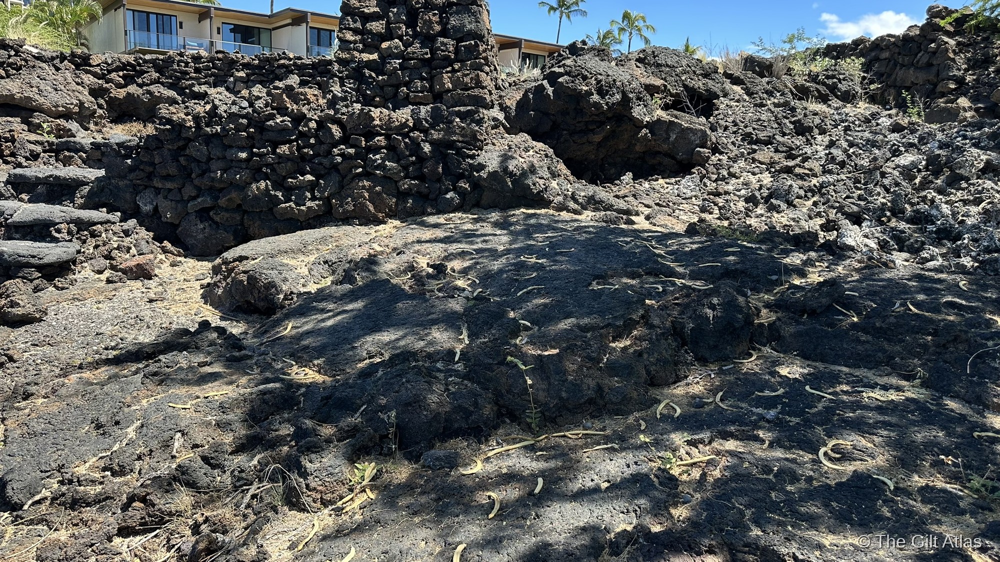 Ancient lava rock walls and ruins on the grounds near the Waikoloa Beach Marriott, with resort buildings visible in the background