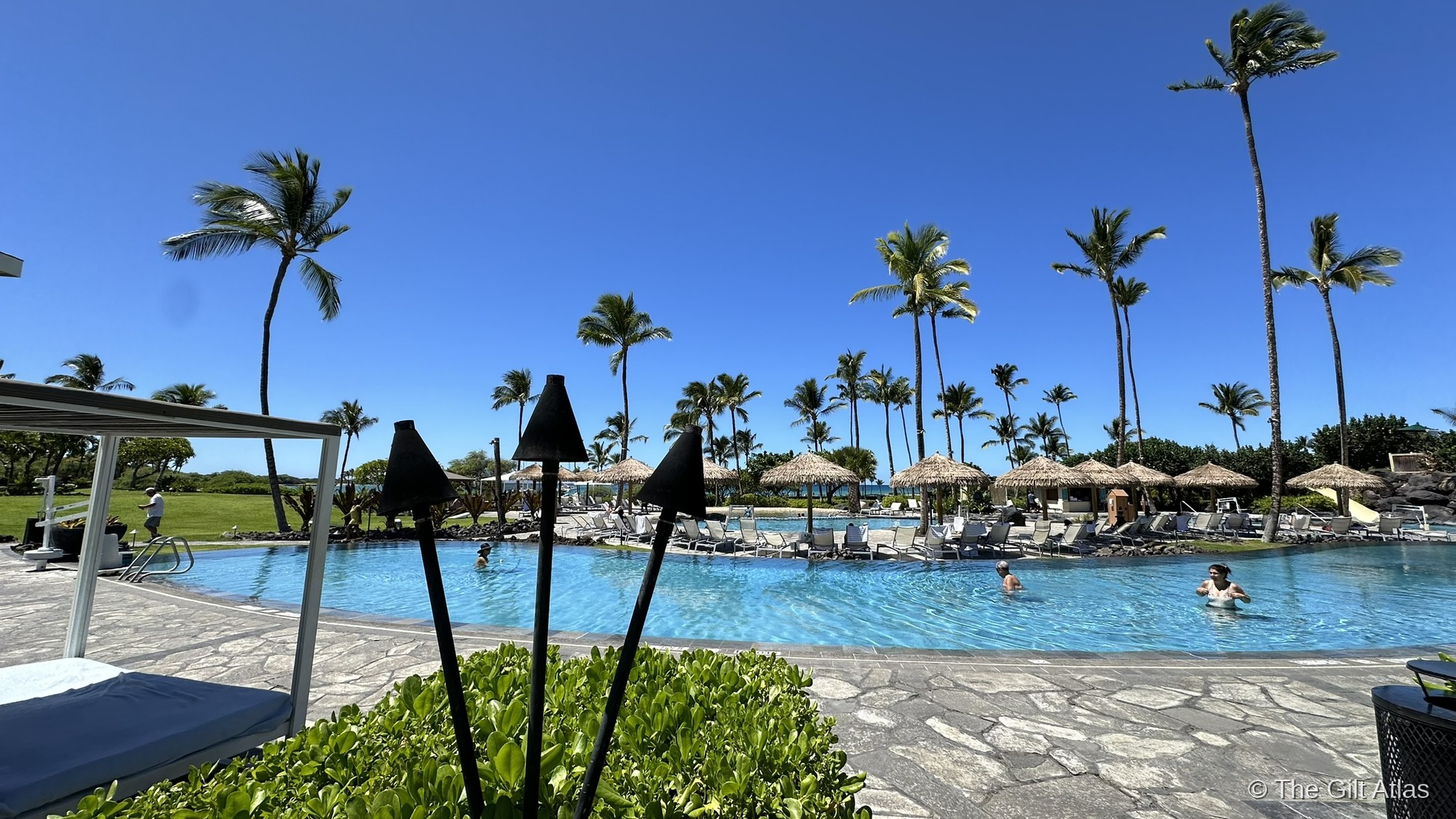 Waikoloa Beach Marriott pool and palms
